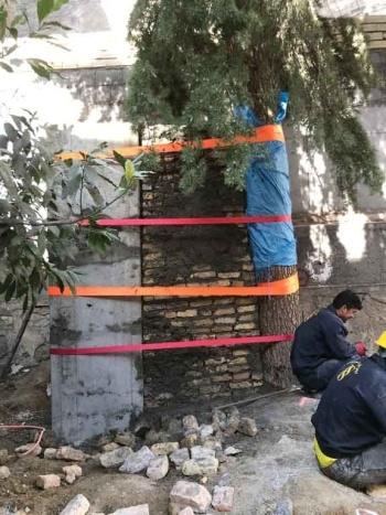 پروژه الهیه - مبشر