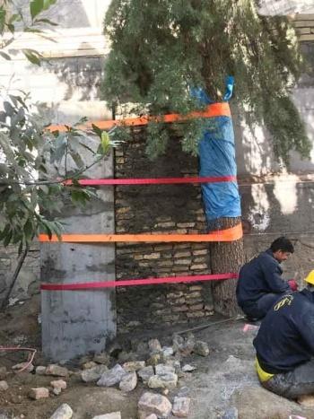 پروژه الهیه - مبشر